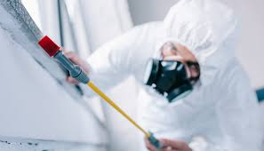 Best Pest Control for Multi-Family Homes  in Kearny, NJ